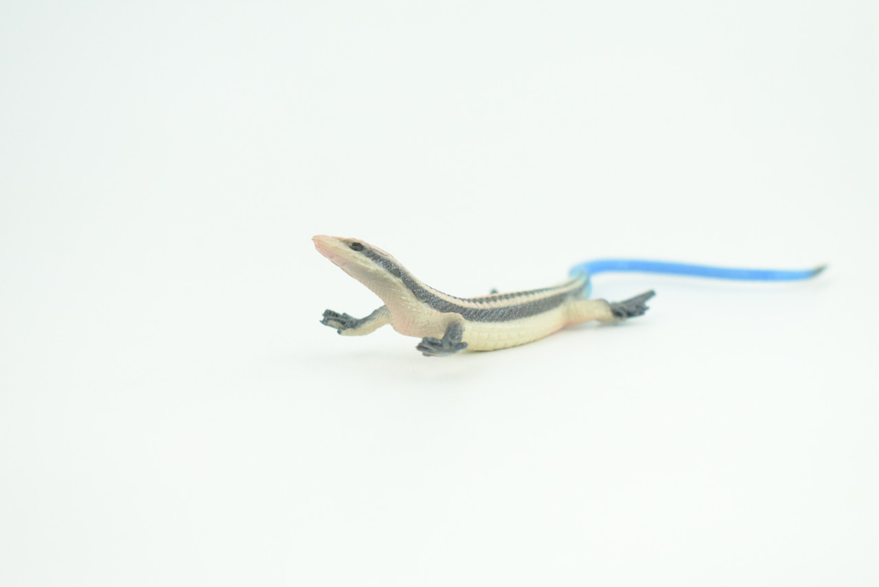 Blue-Tailed Skink, Lizard, Museum Quality, Hand Painted Reptiles, Educational, Rubber Reptile, Realistic, Diorama, Toys, Kids, Gift,    5 Inches. CH824 BB194