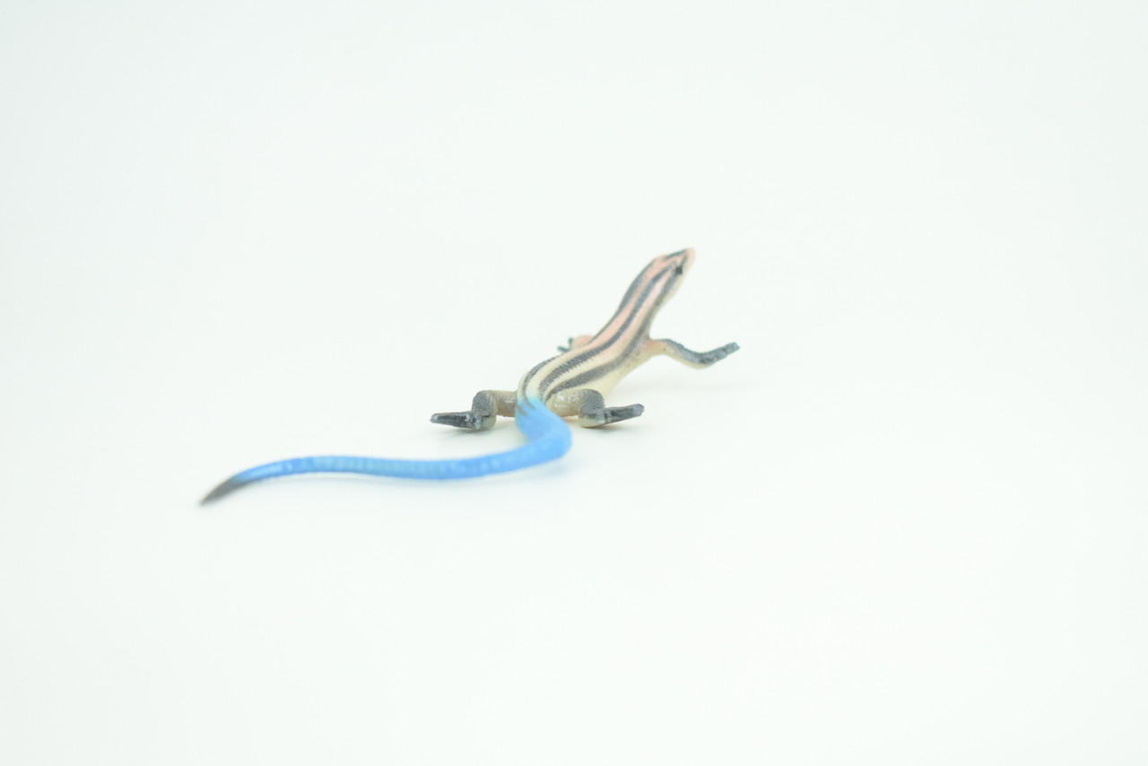 Blue-Tailed Skink, Lizard, Museum Quality, Hand Painted Reptiles, Educational, Rubber Reptile, Realistic, Diorama, Toys, Kids, Gift,    5 Inches. CH824 BB194