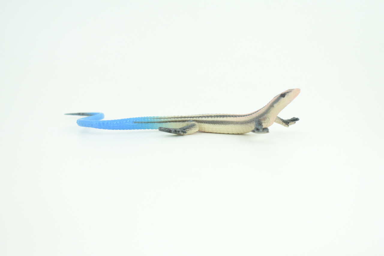 Blue-Tailed Skink, Lizard, Museum Quality, Hand Painted Reptiles, Educational, Rubber Reptile, Realistic, Diorama, Toys, Kids, Gift,    5 Inches. CH824 BB194