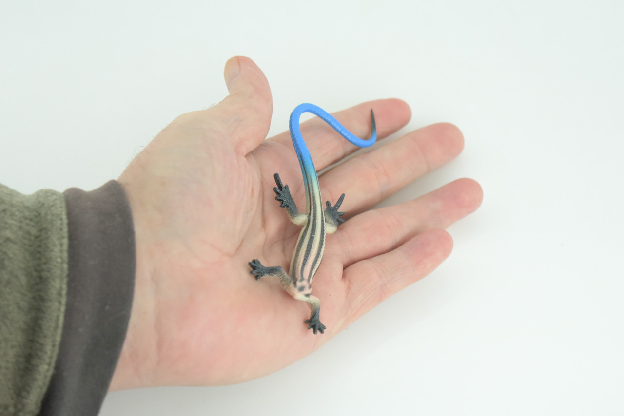 Blue-Tailed Skink, Lizard, Museum Quality, Hand Painted Reptiles, Educational, Rubber Reptile, Realistic, Diorama, Toys, Kids, Gift, 5 Inches. CH824 BB194