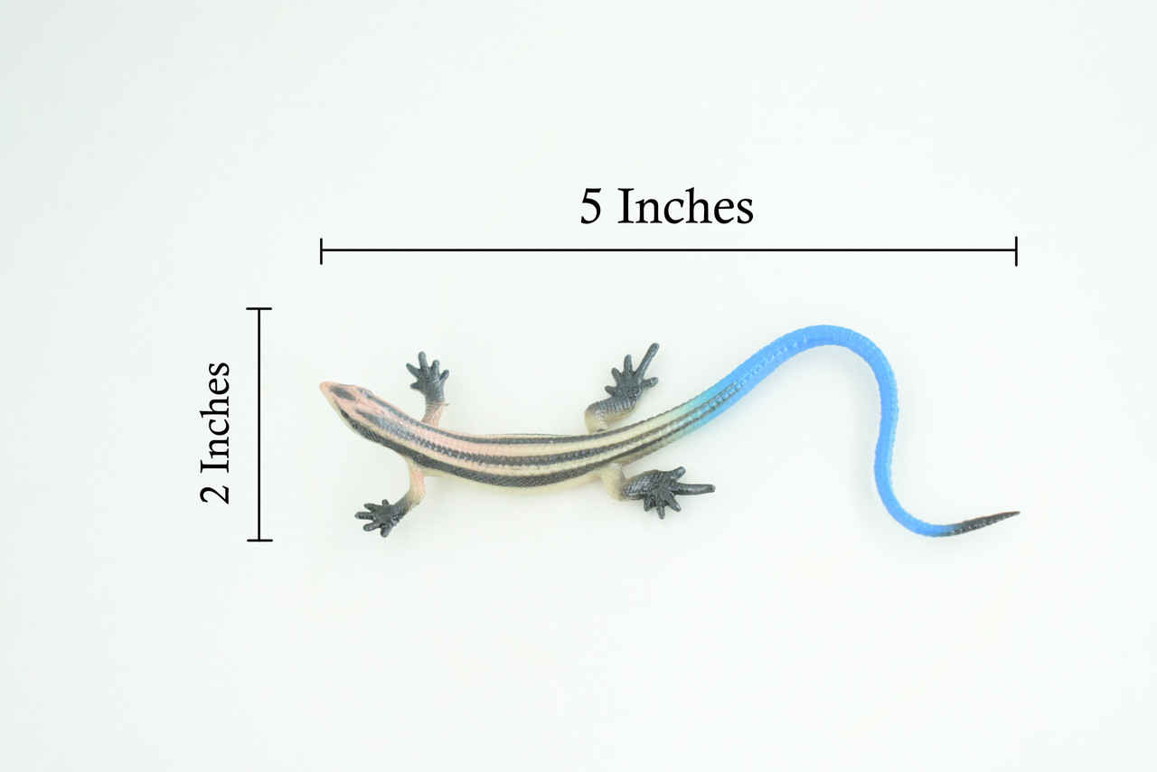 Blue-Tailed Skink, Lizard, Museum Quality, Hand Painted Reptiles, Educational, Rubber Reptile, Realistic, Diorama, Toys, Kids, Gift, 5 Inches. CH824 BB194