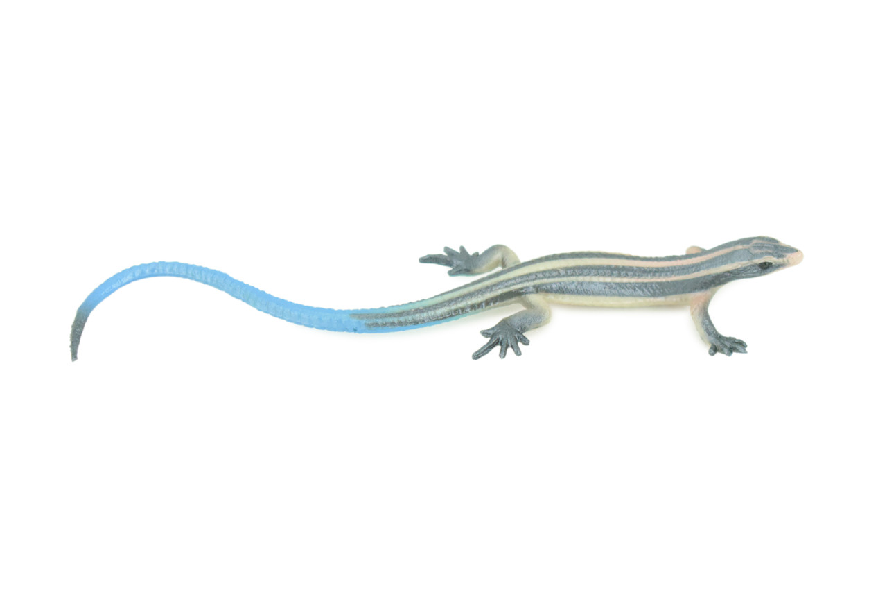 Blue-Tailed Skink, Lizard, Museum Quality, Hand Painted Reptiles, Educational, Rubber Reptile, Realistic, Diorama, Toys, Kids, Gift, 4 Inches. CH825 BB194