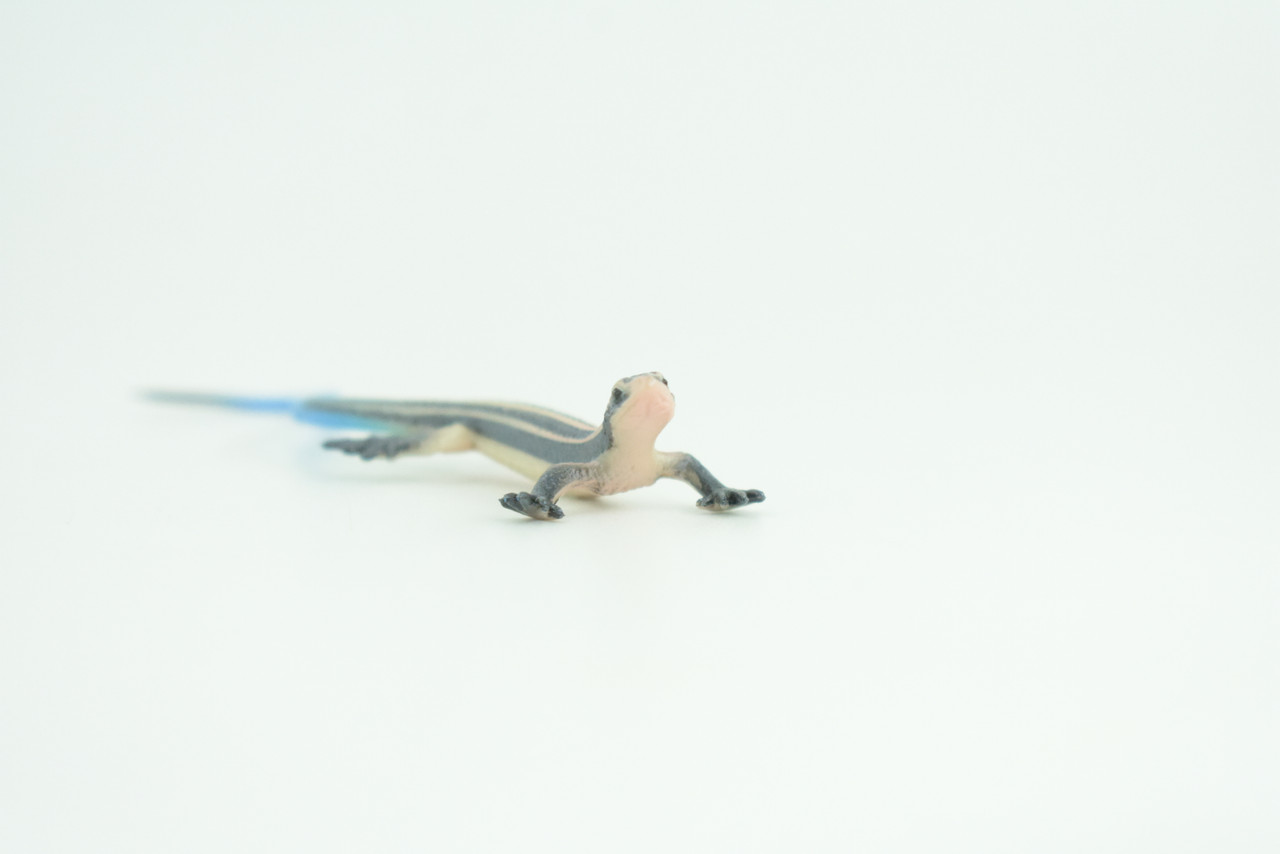 Blue-Tailed Skink, Lizard, Museum Quality, Hand Painted Reptiles, Educational, Rubber Reptile, Realistic, Diorama, Toys, Kids, Gift,    4 Inches. CH825 BB194