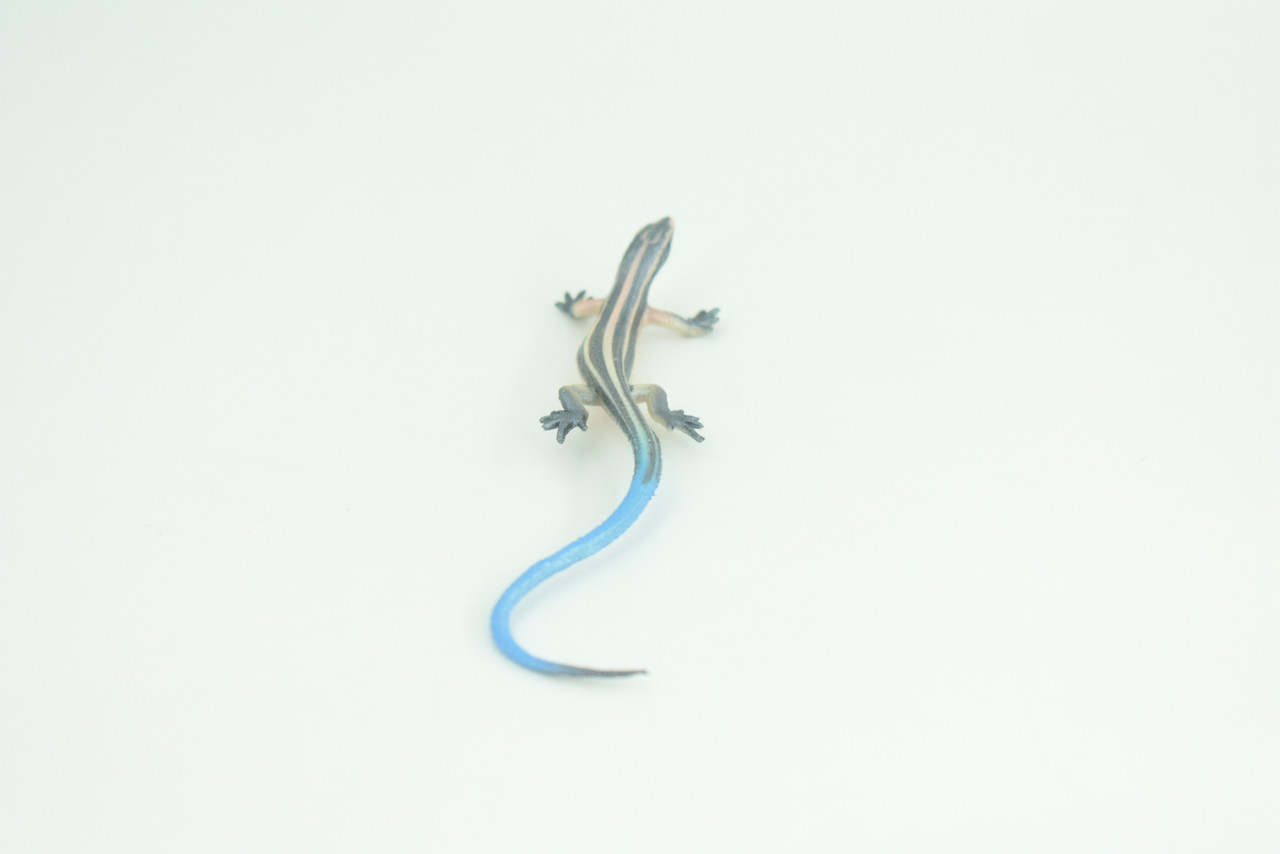 Blue-Tailed Skink, Lizard, Museum Quality, Hand Painted Reptiles, Educational, Rubber Reptile, Realistic, Diorama, Toys, Kids, Gift,    4 Inches. CH825 BB194