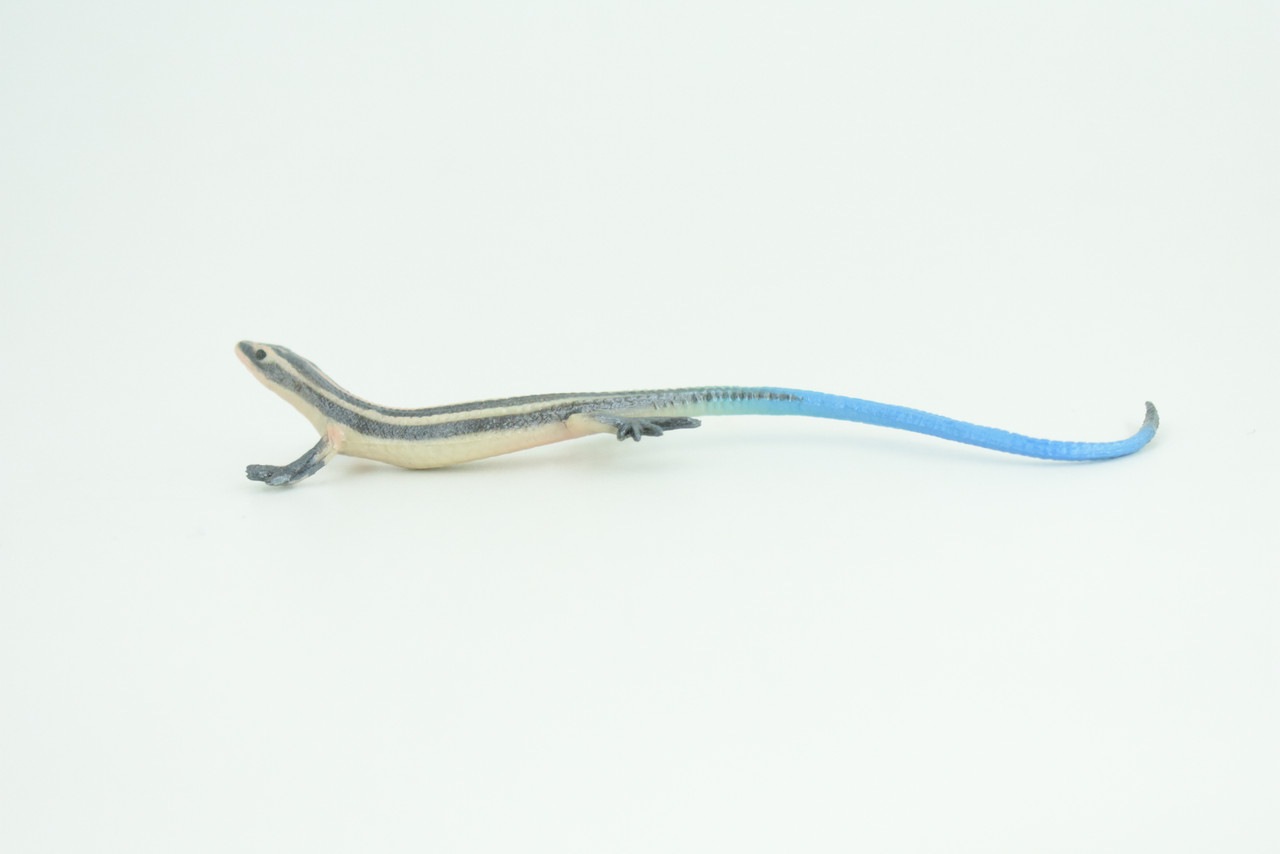 Blue-Tailed Skink, Lizard, Museum Quality, Hand Painted Reptiles, Educational, Rubber Reptile, Realistic, Diorama, Toys, Kids, Gift,    4 Inches. CH825 BB194