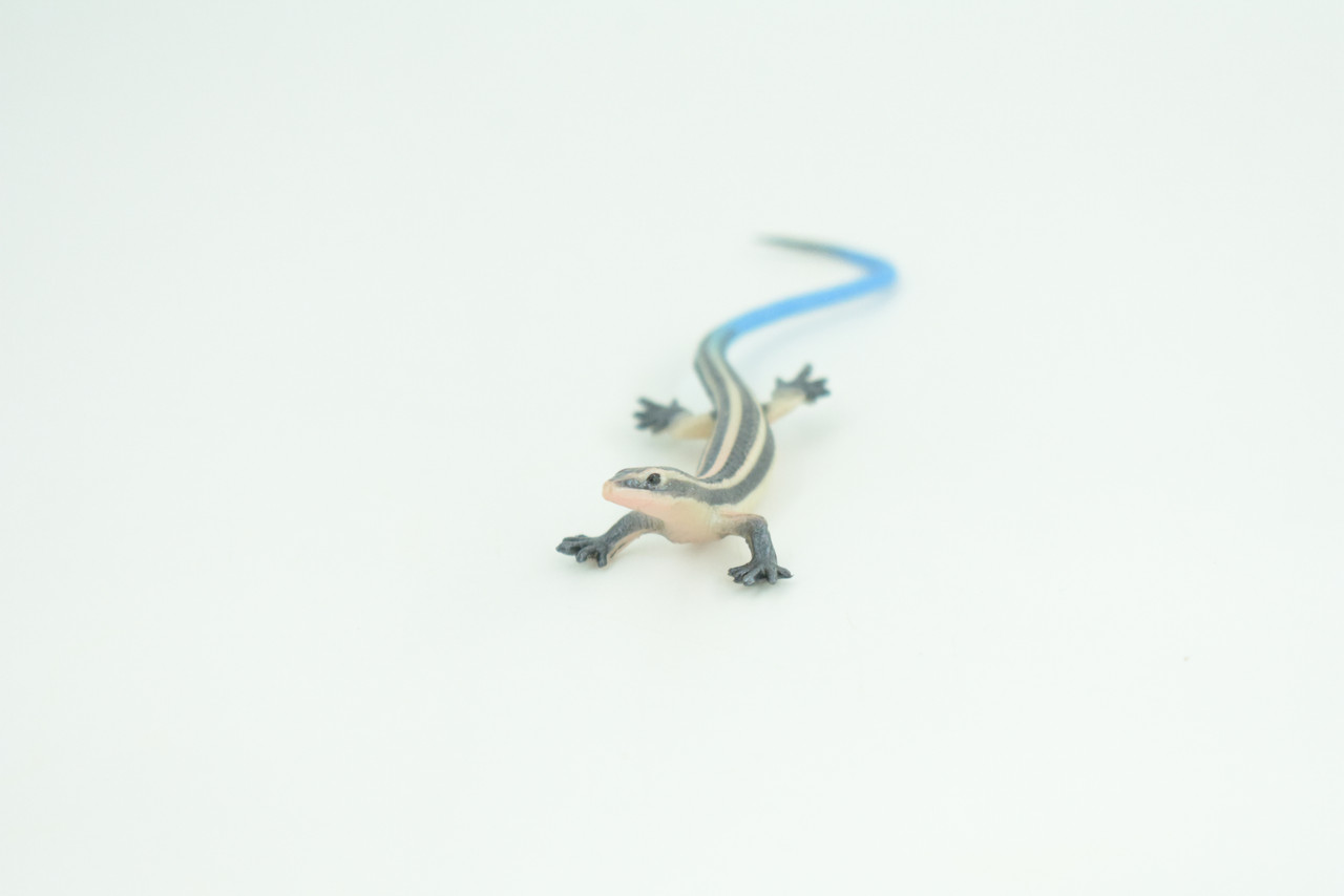Blue-Tailed Skink, Lizard, Museum Quality, Hand Painted Reptiles, Educational, Rubber Reptile, Realistic, Diorama, Toys, Kids, Gift,    4 Inches. CH825 BB194