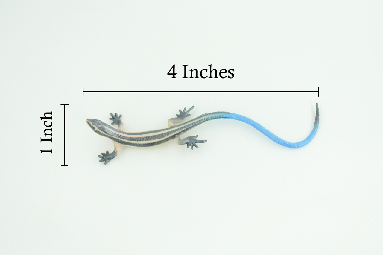 Blue-Tailed Skink, Lizard, Museum Quality, Hand Painted Reptiles, Educational, Rubber Reptile, Realistic, Diorama, Toys, Kids, Gift, 4 Inches. CH825 BB194