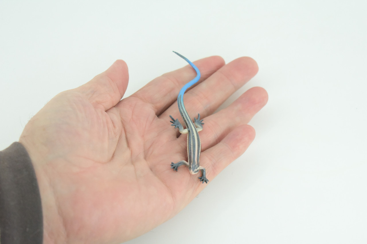 Blue-Tailed Skink, Lizard, Museum Quality, Hand Painted Reptiles, Educational, Rubber Reptile, Realistic, Diorama, Toys, Kids, Gift, 4 Inches. CH825 BB194
