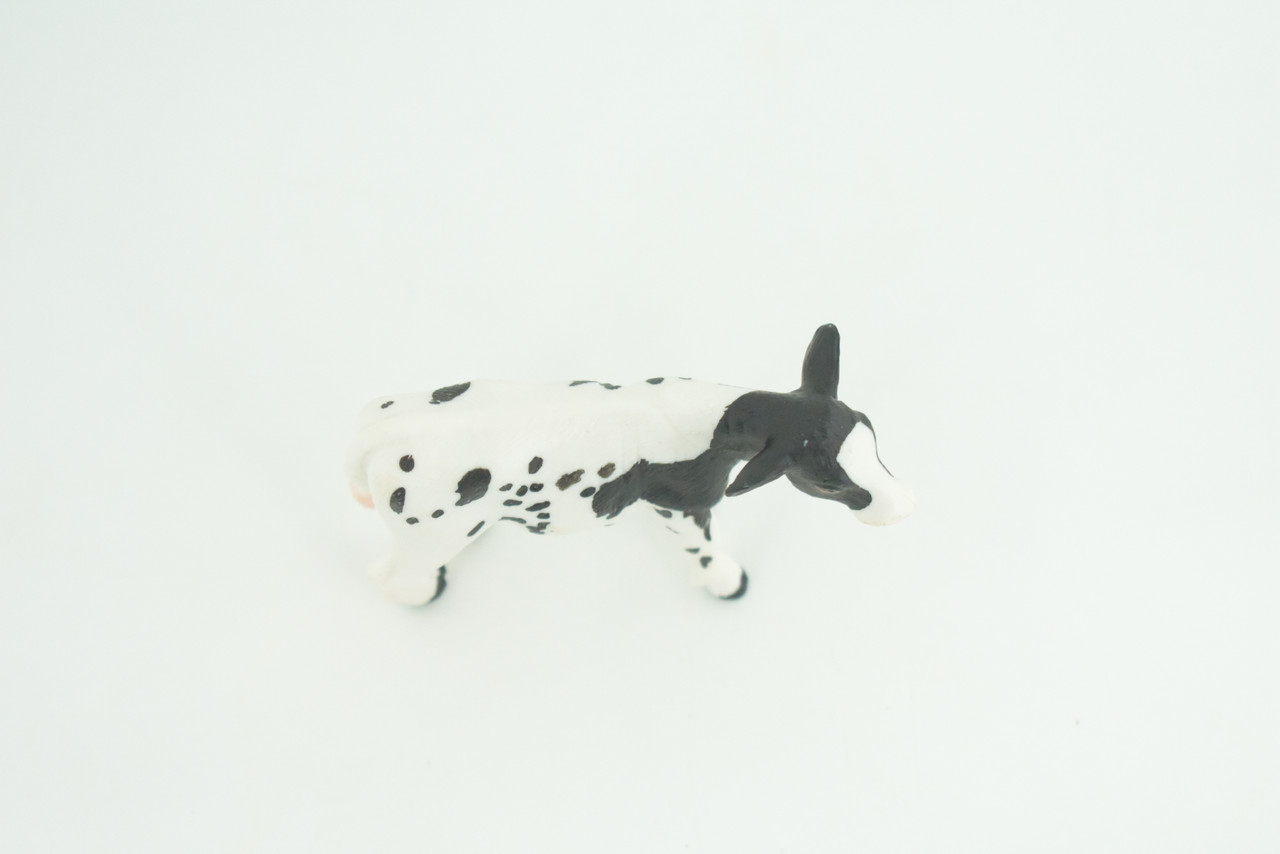 Holstein Dairy Cow Calf, Baby,  Educational, Hand Painted, Museum Quality, Realistic, Rubber Animal, Realistic, Diorama, Toy, Kids, Gift,  3 Inches.  CH830 BB194 