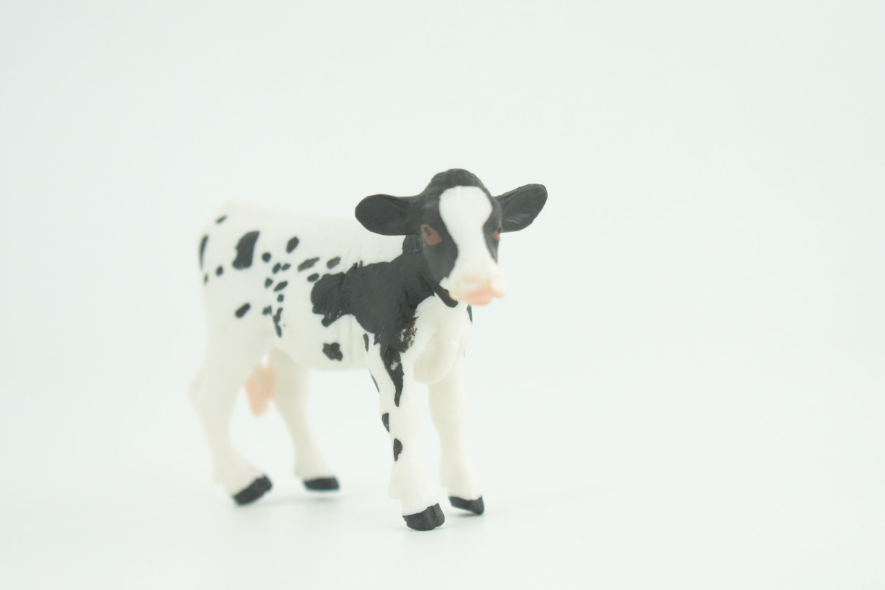 Holstein Dairy Cow Calf, Baby,  Educational, Hand Painted, Museum Quality, Realistic, Rubber Animal, Realistic, Diorama, Toy, Kids, Gift,  3 Inches.  CH830 BB194 