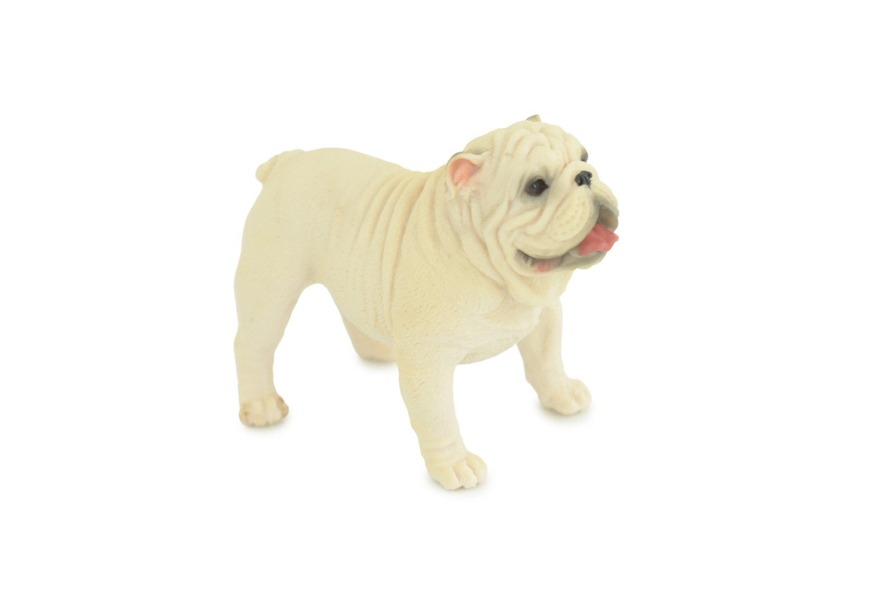 Bulldog, English Bulldog, British, White, Rubber Canine, Hand Painted, Educational, Realistic, K9, Diorama, Figure, Model, Replica, Toys, Kids, Gift, 5 Inches. CH834 BB195