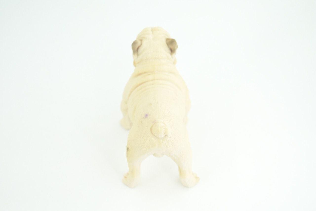 Bulldog, English Bulldog, British, White, Rubber Canine, Hand Painted, Educational, Realistic, K9, Diorama, Figure, Model, Replica, Toys, Kids, Gift, 5 Inches. CH834 BB195