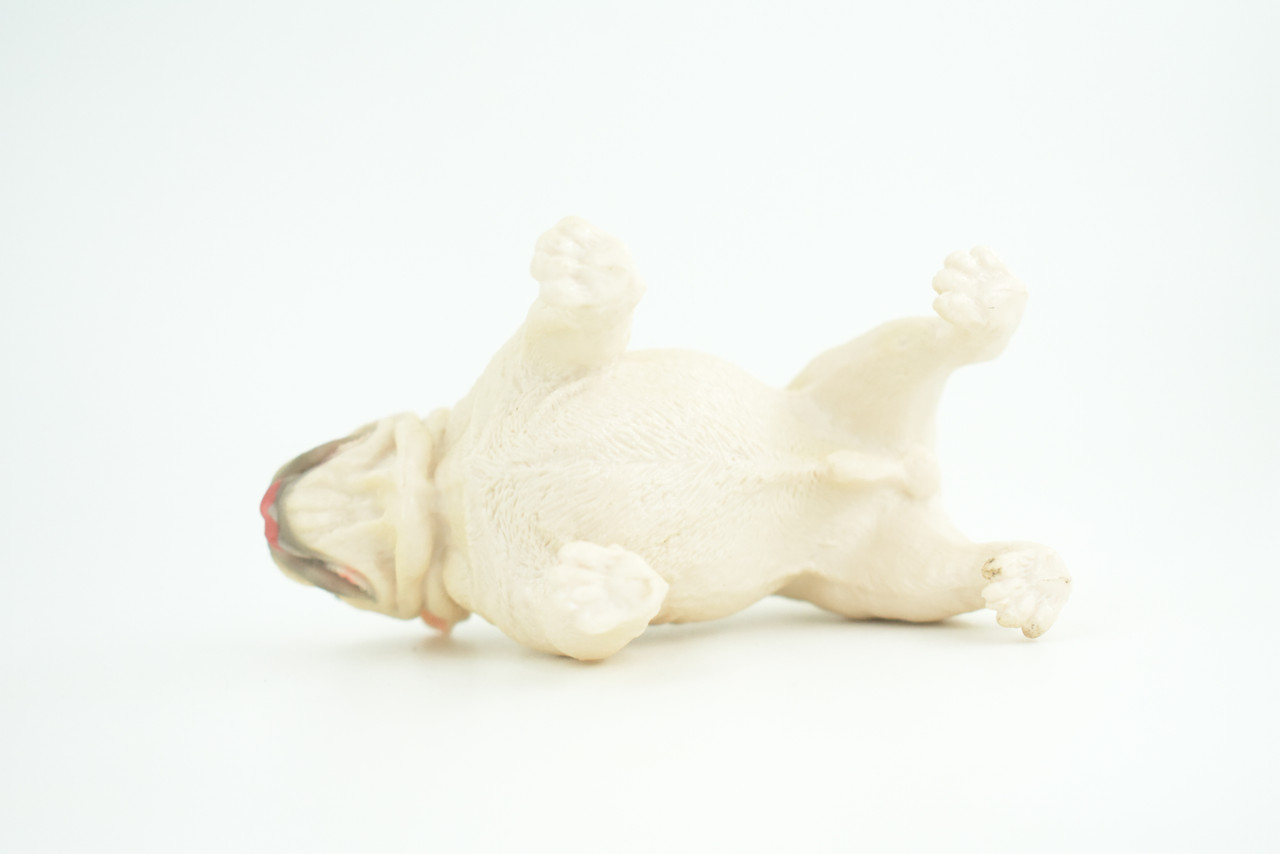 Bulldog, English Bulldog, British, White, Rubber Canine, Hand Painted, Educational, Realistic, K9, Diorama, Figure, Model, Replica, Toys, Kids, Gift, 5 Inches. CH834 BB195