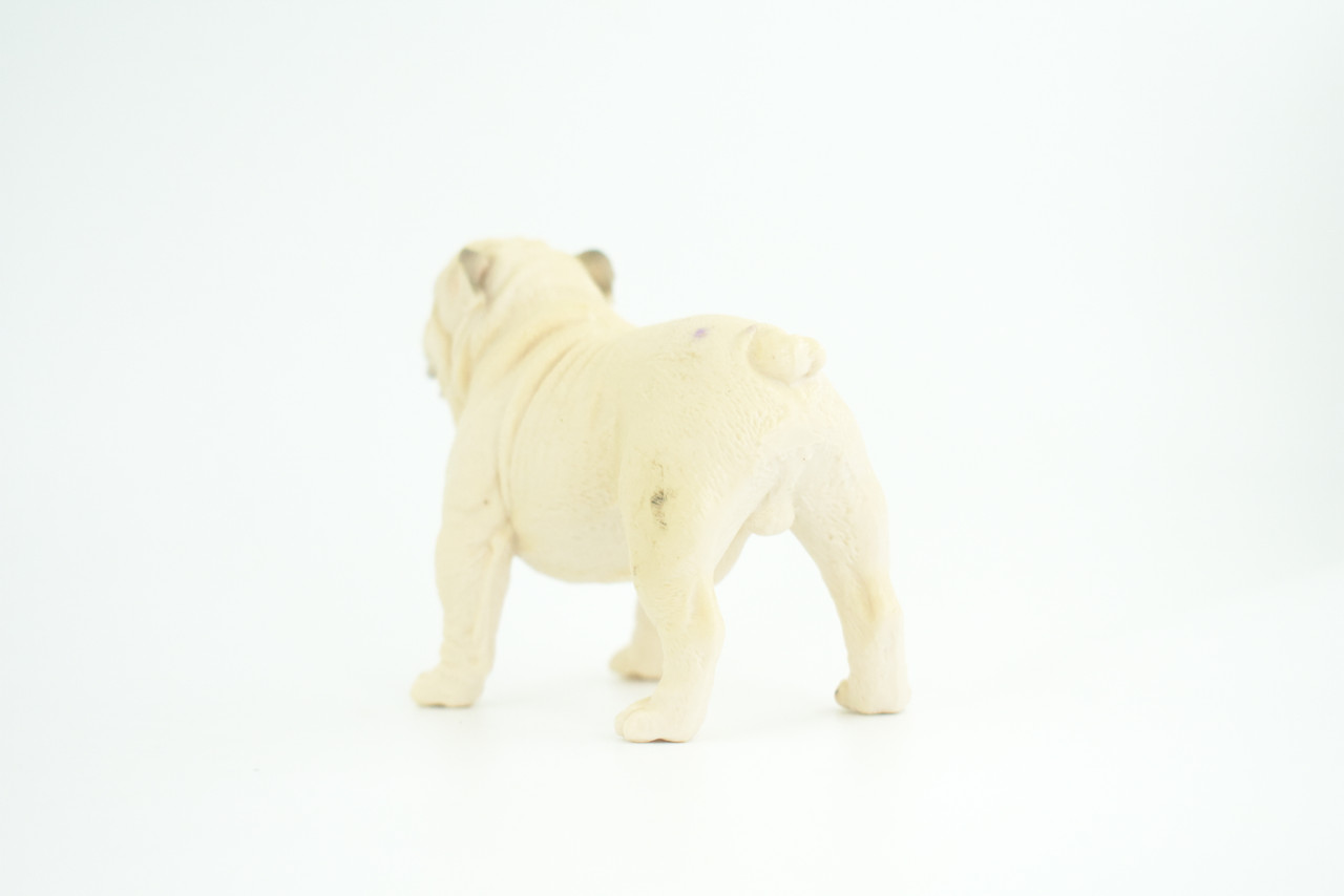 Bulldog, English Bulldog, British, White, Rubber Canine, Hand Painted, Educational, Realistic, K9, Diorama, Figure, Model, Replica, Toys, Kids, Gift, 5 Inches. CH834 BB195
