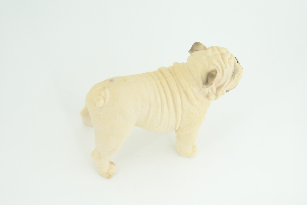 Bulldog, English Bulldog, British, White, Rubber Canine, Hand Painted, Educational, Realistic, K9, Diorama, Figure, Model, Replica, Toys, Kids, Gift, 5 Inches. CH834 BB195
