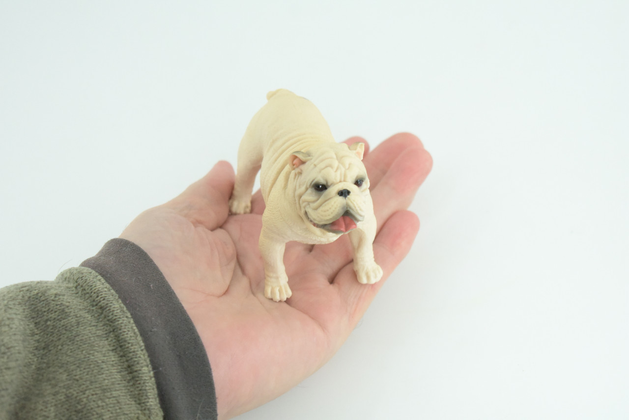 Bulldog, English Bulldog, British, White, Rubber Canine, Hand Painted, Educational, Realistic, K9, Diorama, Figure, Model, Replica, Toys, Kids, Gift, 5 Inches. CH834 BB195