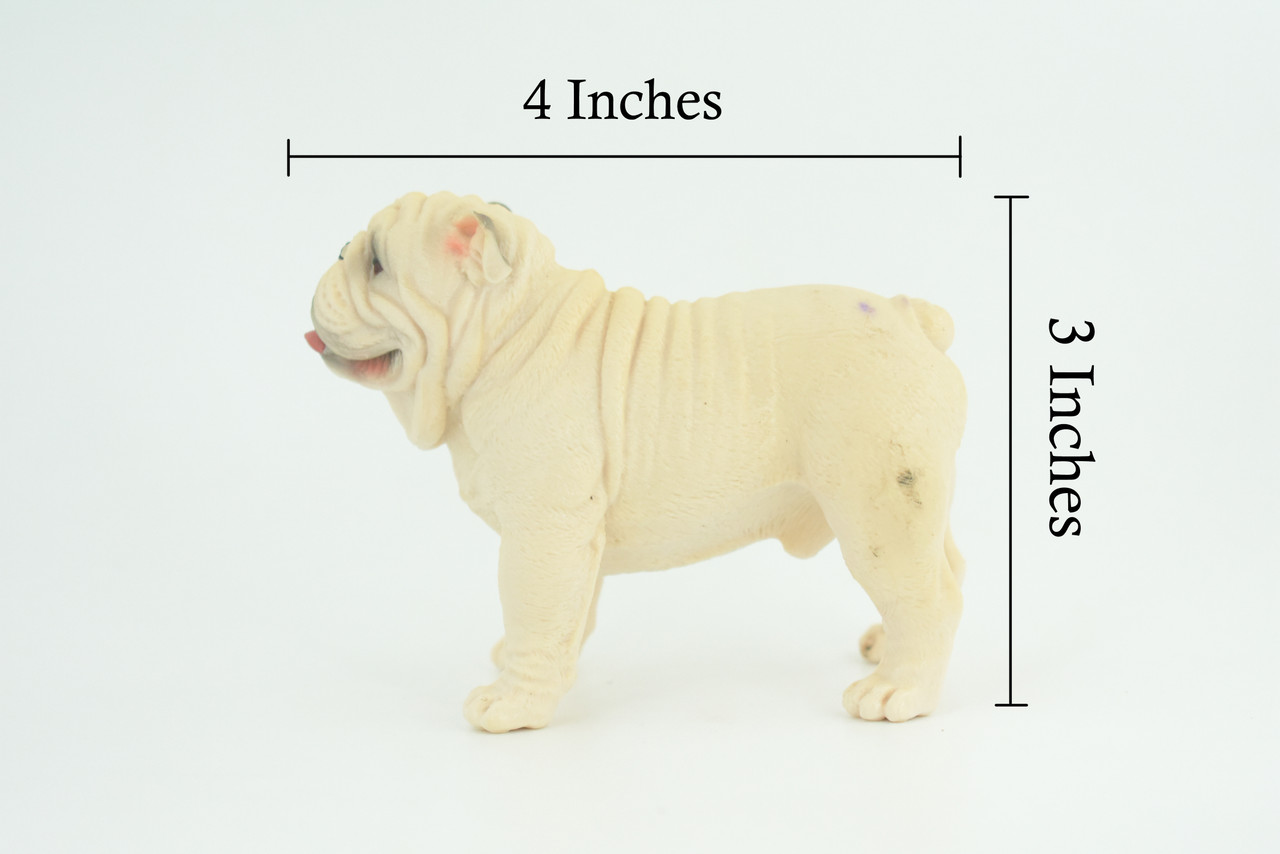 Bulldog, English Bulldog, British, White, Rubber Canine, Hand Painted, Educational, Realistic, K9, Diorama, Figure, Model, Replica, Toys, Kids, Gift, 5 Inches. CH834 BB195
