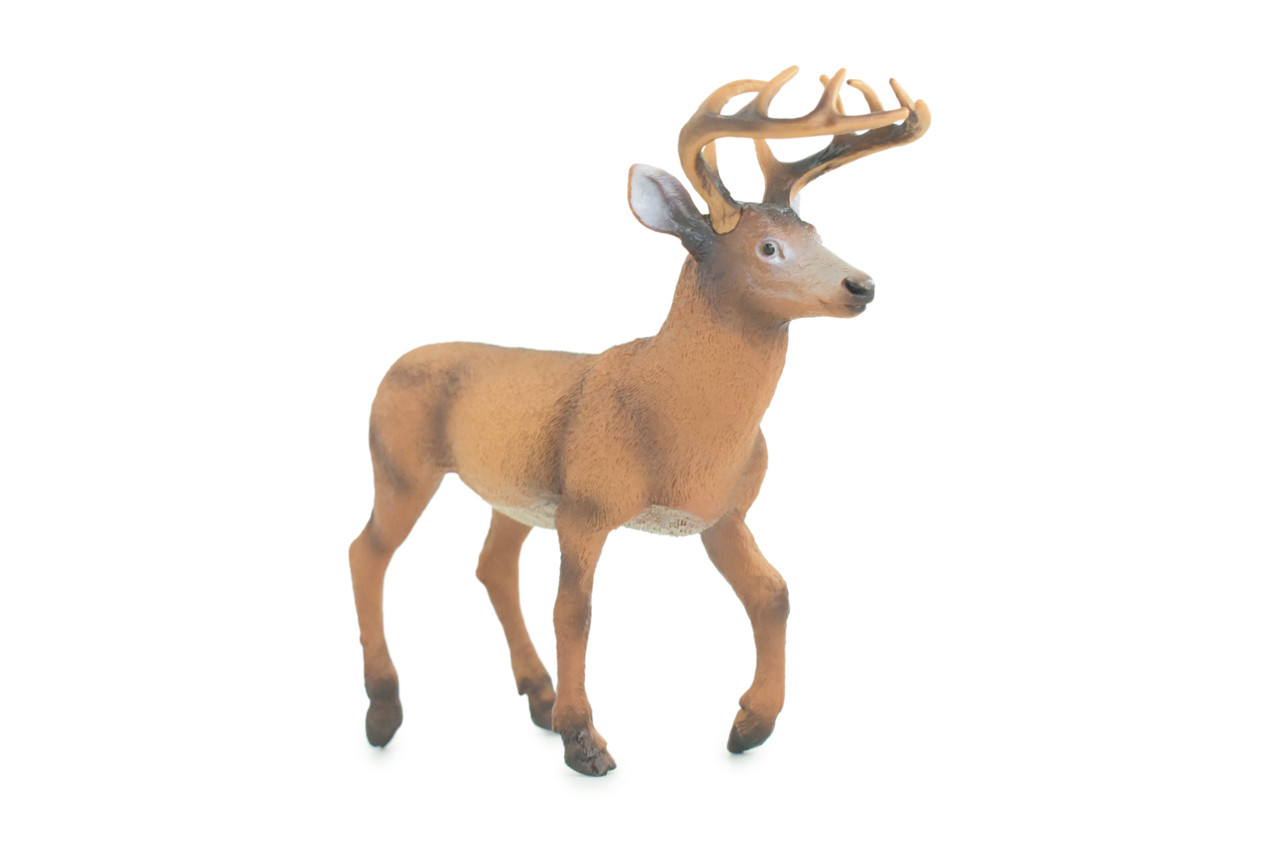 White-tailed Deer, Buck, Male, Museum Quality, Educational, Hand Painted, Rubber Animal, Realistic, Diorama, Toy, Kids, Gift, 7 Inches. CH836 BB195
