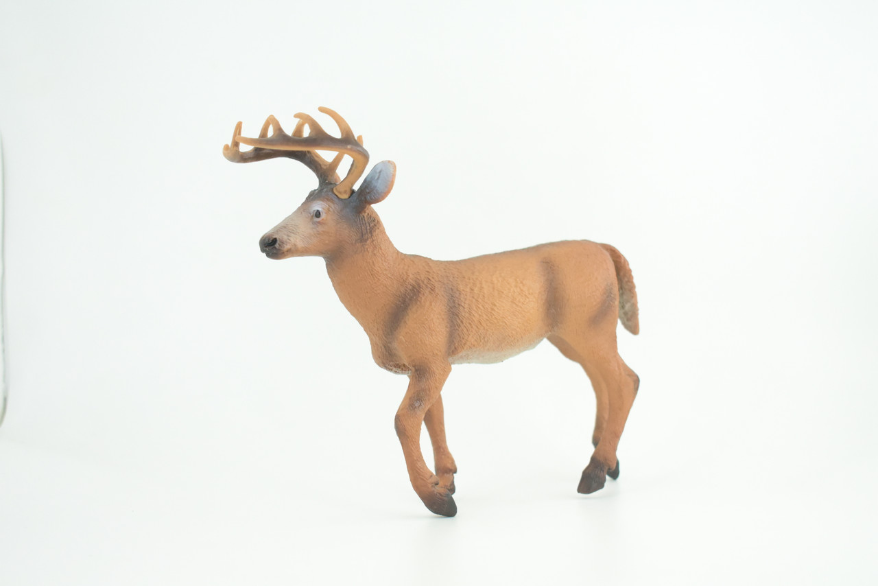 White-tailed Deer, Buck, Male, Museum Quality, Educational, Hand Painted, Rubber Animal, Realistic, Diorama, Toy, Kids, Gift, 7 Inches. CH836 BB195