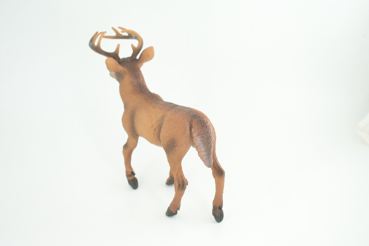 White-tailed Deer, Buck, Male, Museum Quality, Educational, Hand Painted, Rubber Animal, Realistic, Diorama, Toy, Kids, Gift, 7 Inches. CH836 BB195