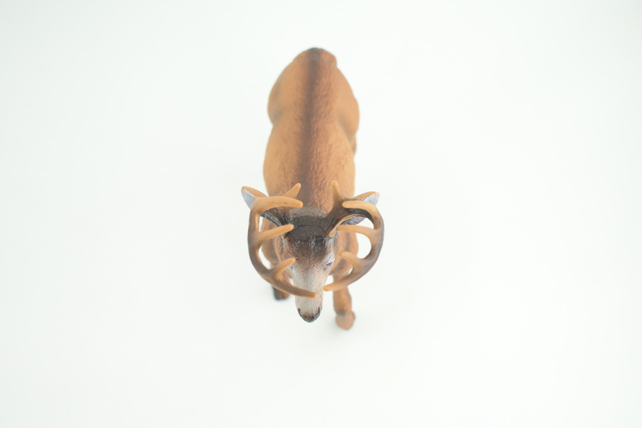 White-tailed Deer, Buck, Male, Museum Quality, Educational, Hand Painted, Rubber Animal, Realistic, Diorama, Toy, Kids, Gift,   7  Inches.  CH836 BB195 