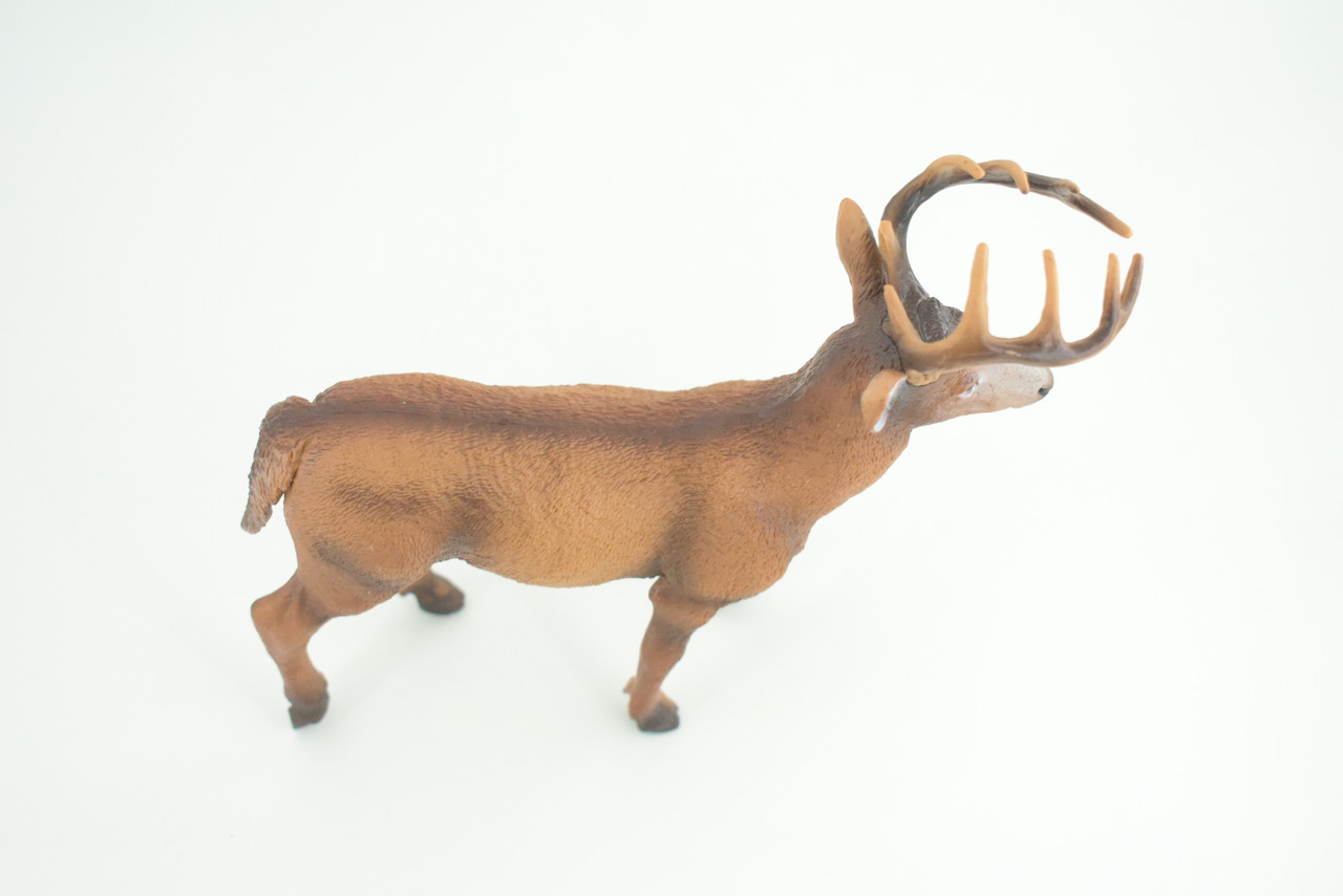 White-tailed Deer, Buck, Male, Museum Quality, Educational, Hand Painted, Rubber Animal, Realistic, Diorama, Toy, Kids, Gift,   7  Inches.  CH836 BB195 