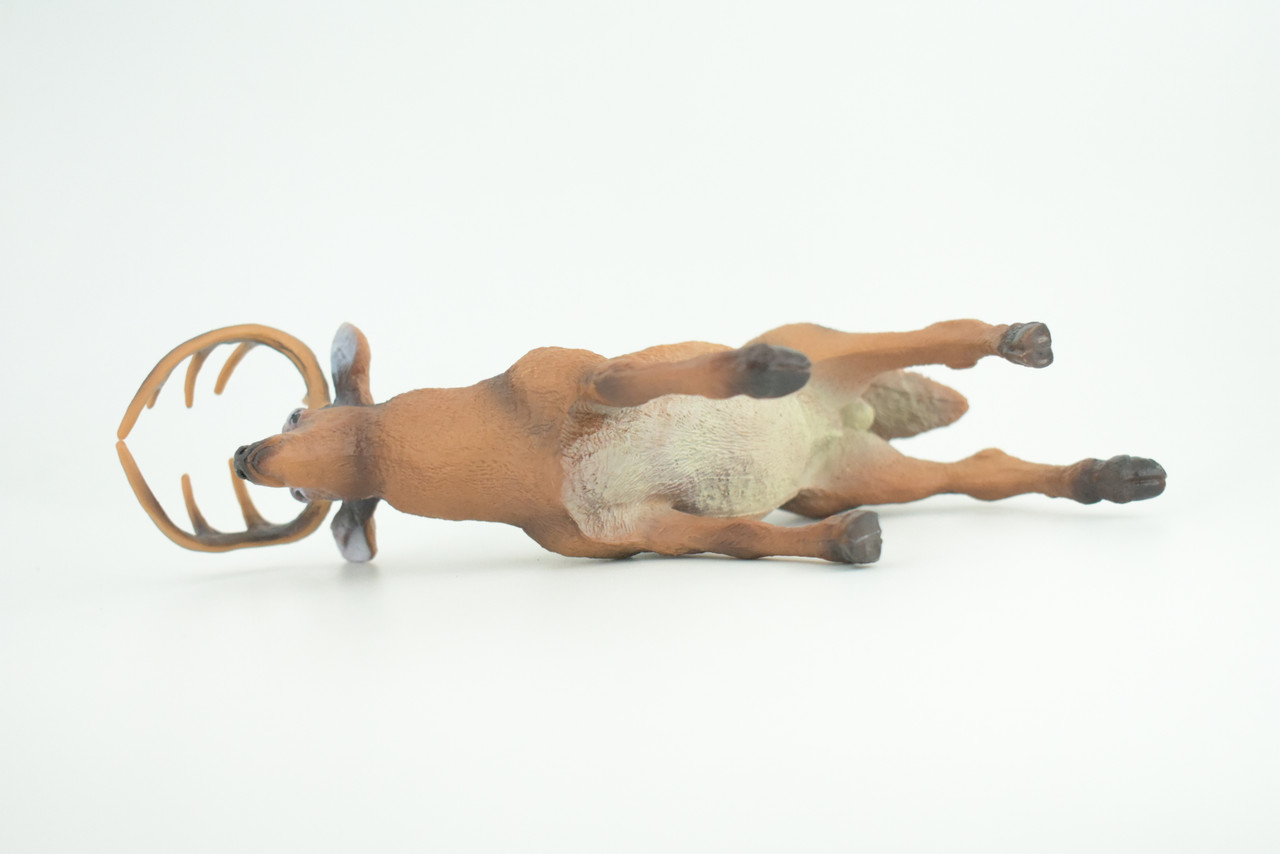 White-tailed Deer, Buck, Male, Museum Quality, Educational, Hand Painted, Rubber Animal, Realistic, Diorama, Toy, Kids, Gift,   7  Inches.  CH836 BB195 