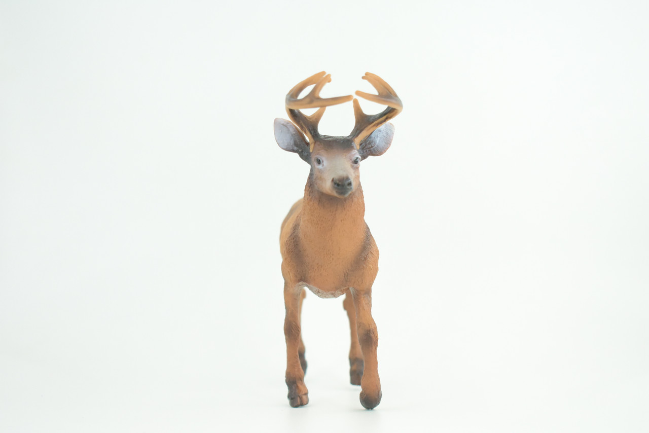 White-tailed Deer, Buck, Male, Museum Quality, Educational, Hand Painted, Rubber Animal, Realistic, Diorama, Toy, Kids, Gift,   7  Inches.  CH836 BB195 