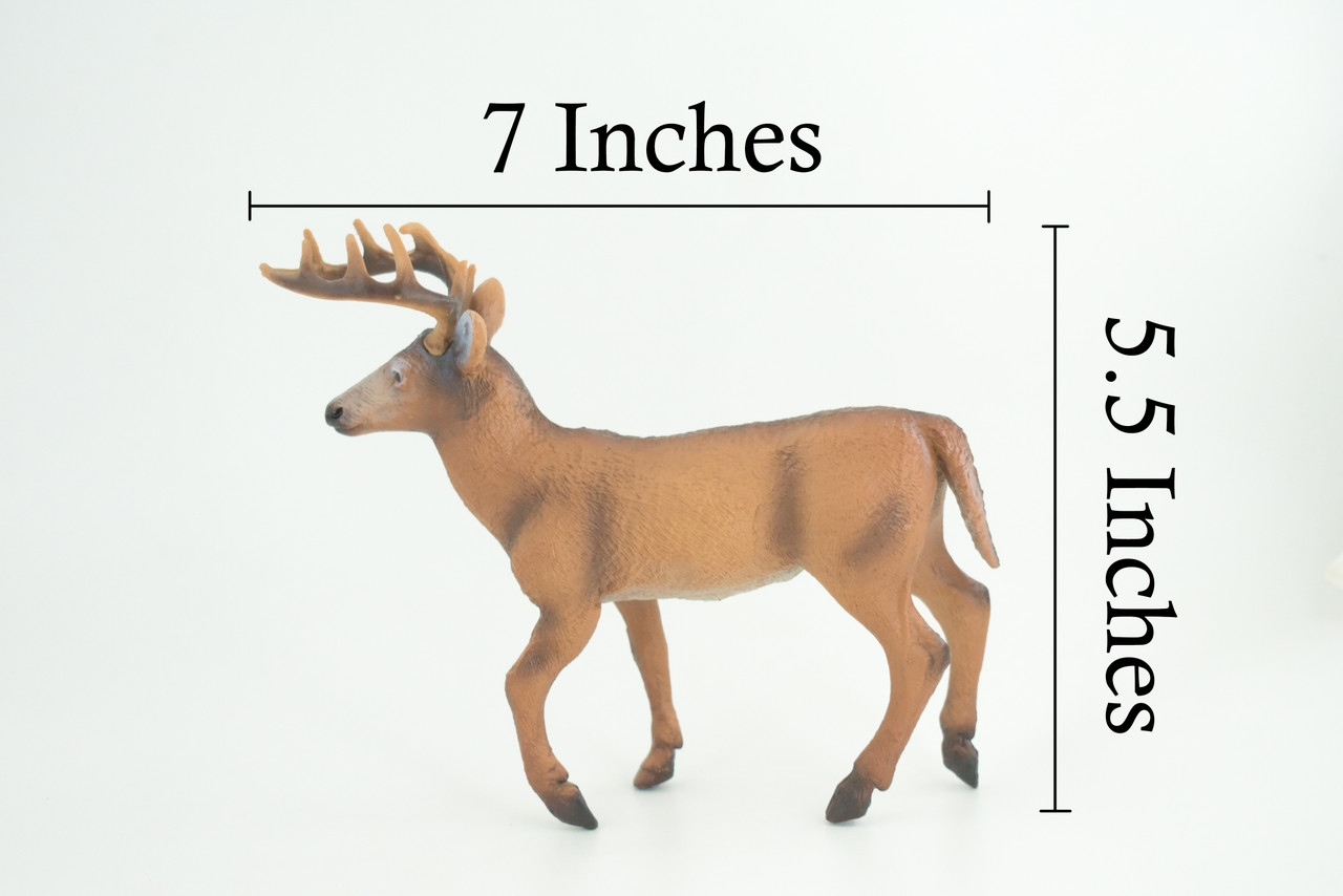 White-tailed Deer, Buck, Male, Museum Quality, Educational, Hand Painted, Rubber Animal, Realistic, Diorama, Toy, Kids, Gift, 7 Inches. CH836 BB195