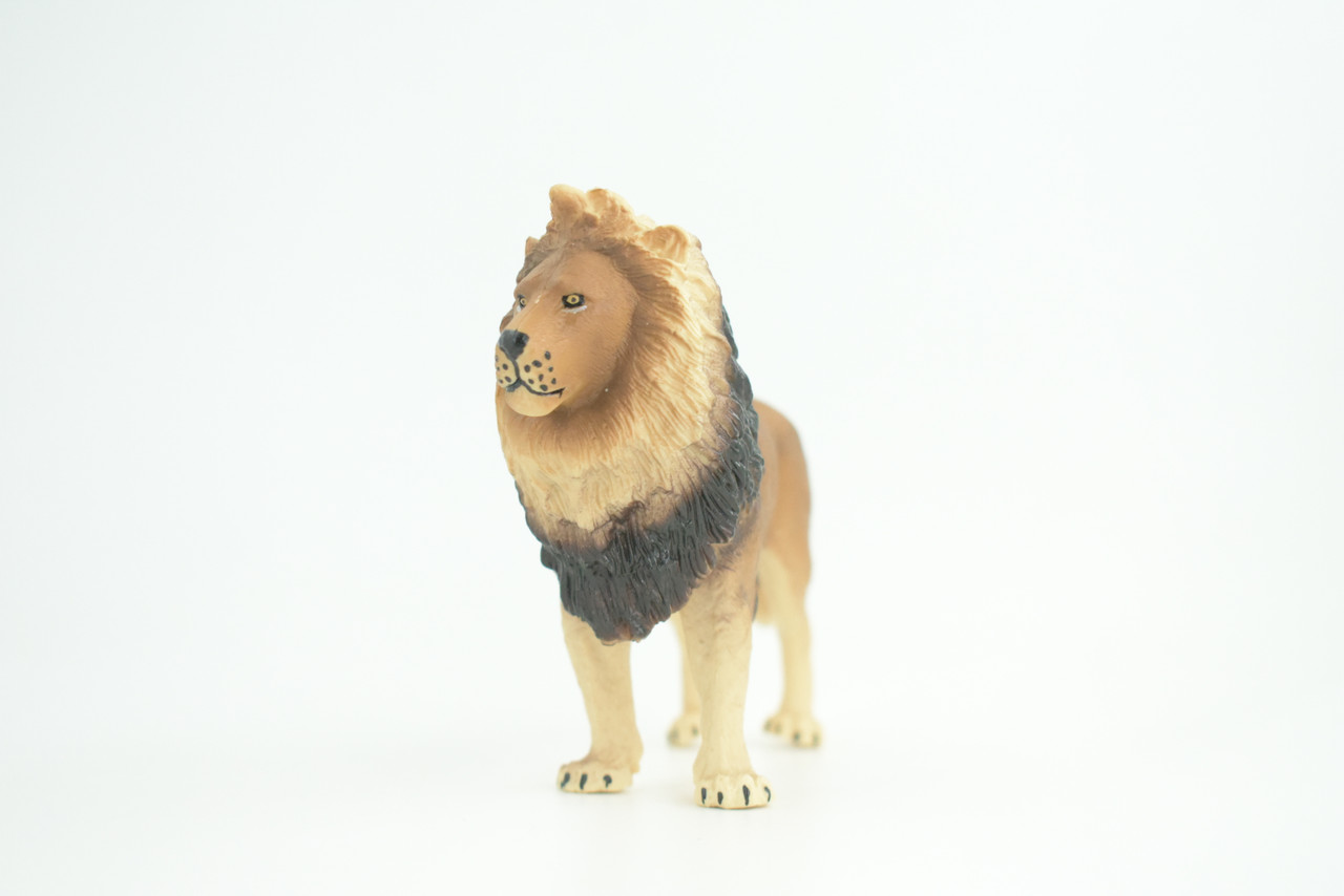 Lion, Male, King of the jungle, Museum Quality, Educational, Hand Painted, Rubber Animal, Realistic, Diorama, Toy, Kids, Gift,   5  Inches.  CH837 BB195  