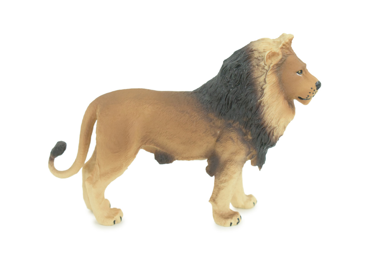 Lion, Male, King of the jungle, Museum Quality, Educational, Hand Painted, Rubber Animal, Realistic, Diorama, Toy, Kids, Gift, 5 Inches. CH837 BB195 
