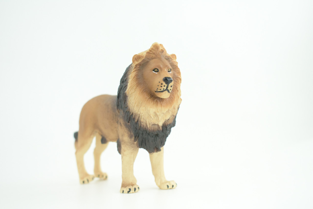 Lion, Male, King of the jungle, Museum Quality, Educational, Hand Painted, Rubber Animal, Realistic, Diorama, Toy, Kids, Gift,   5  Inches.  CH837 BB195  