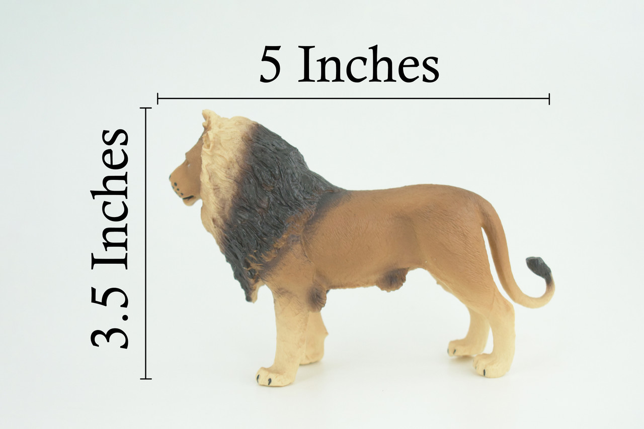 Lion, Male, King of the jungle, Museum Quality, Educational, Hand Painted, Rubber Animal, Realistic, Diorama, Toy, Kids, Gift, 5 Inches. CH837 BB195 