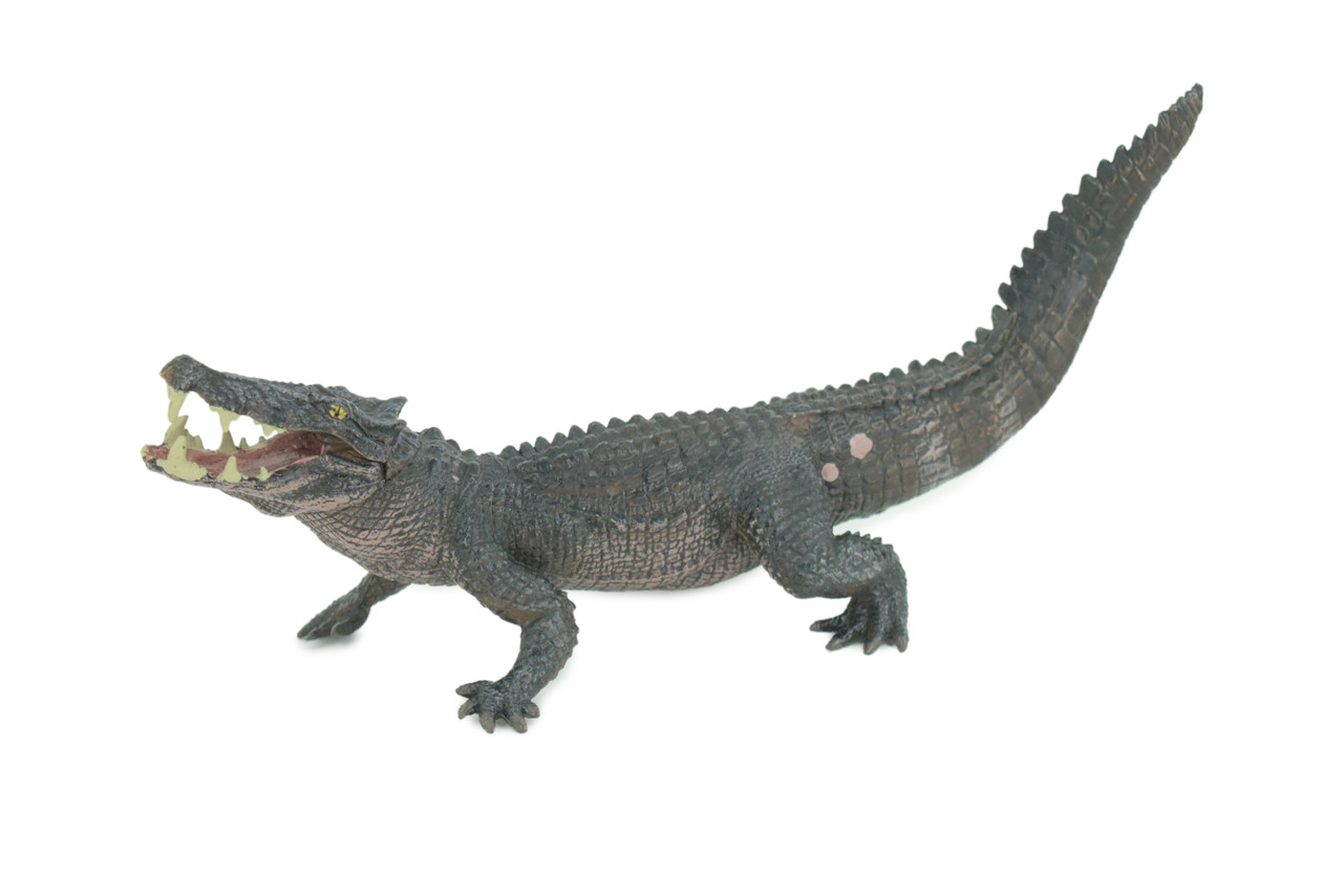 Boar Crocodile, Museum Quality, Educational, Hand Painted, Rubber Reptile, Realistic, Diorama, Toy, Kids, Gift, 10 Inches. CH838 BB195