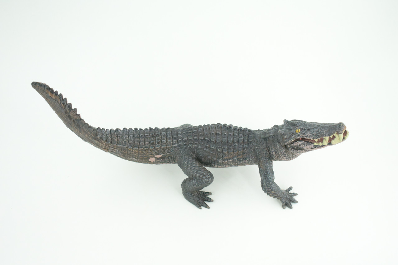 Boar Crocodile, Museum Quality, Educational, Hand Painted, Rubber Reptile, Realistic, Diorama, Toy, Kids, Gift, 10 Inches.  CH838 BB195