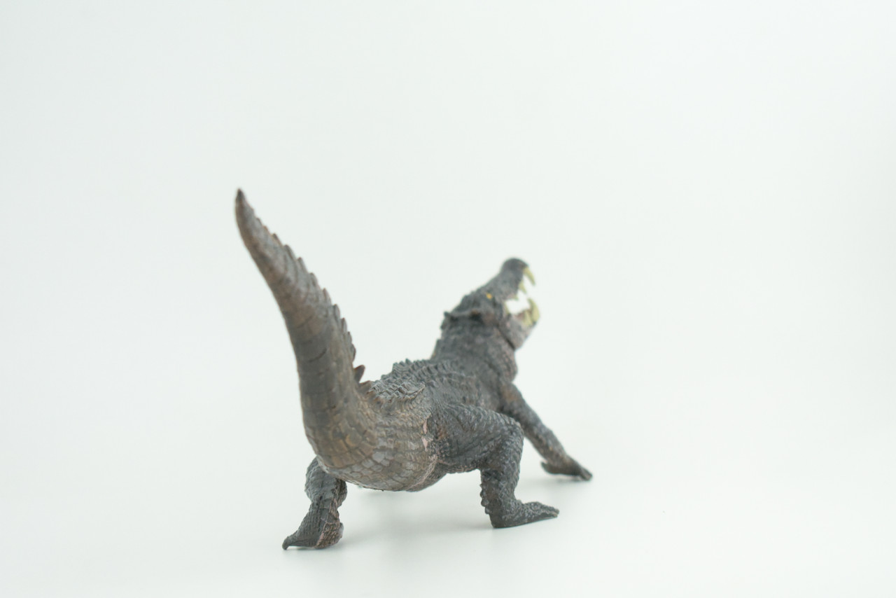 Boar Crocodile, Museum Quality, Educational, Hand Painted, Rubber Reptile, Realistic, Diorama, Toy, Kids, Gift, 10 Inches.  CH838 BB195