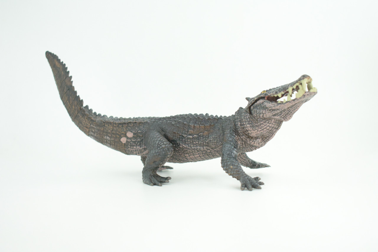 Boar Crocodile, Museum Quality, Educational, Hand Painted, Rubber Reptile, Realistic, Diorama, Toy, Kids, Gift, 10 Inches.  CH838 BB195