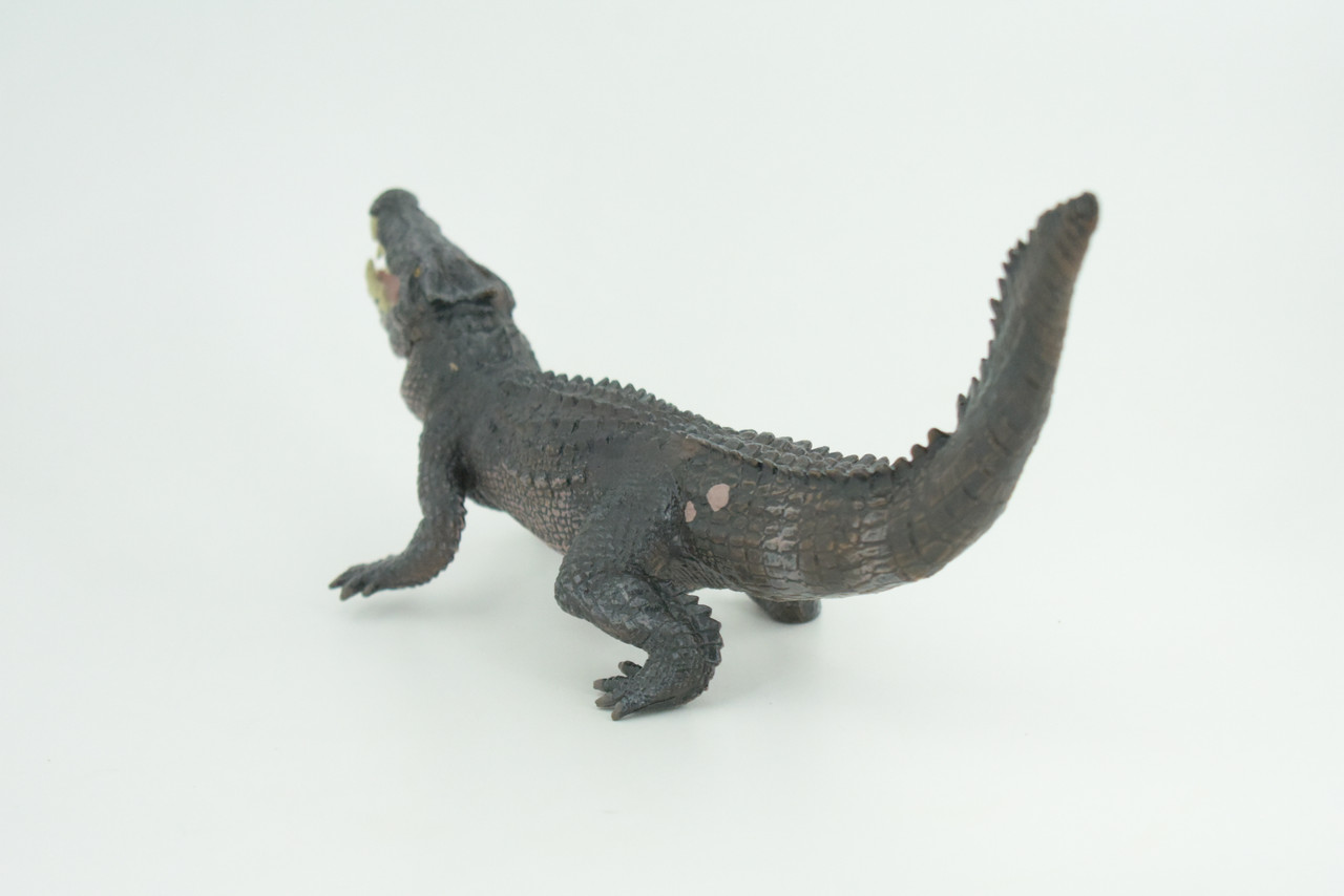 Boar Crocodile, Museum Quality, Educational, Hand Painted, Rubber Reptile, Realistic, Diorama, Toy, Kids, Gift, 10 Inches.  CH838 BB195