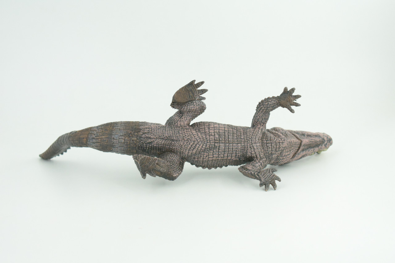 Boar Crocodile, Museum Quality, Educational, Hand Painted, Rubber Reptile, Realistic, Diorama, Toy, Kids, Gift, 10 Inches.  CH838 BB195