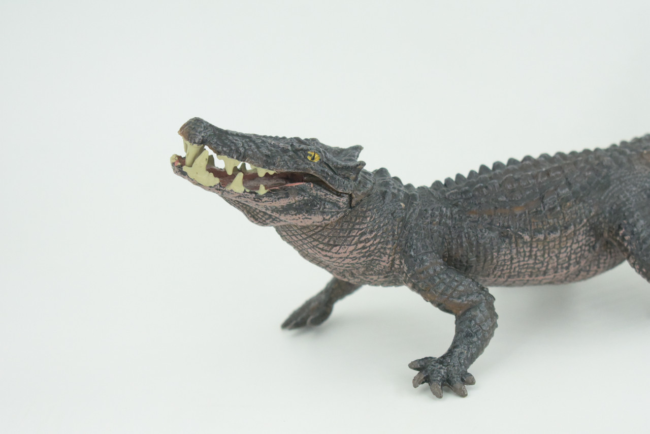 Boar Crocodile, Museum Quality, Educational, Hand Painted, Rubber Reptile, Realistic, Diorama, Toy, Kids, Gift, 10 Inches.  CH838 BB195
