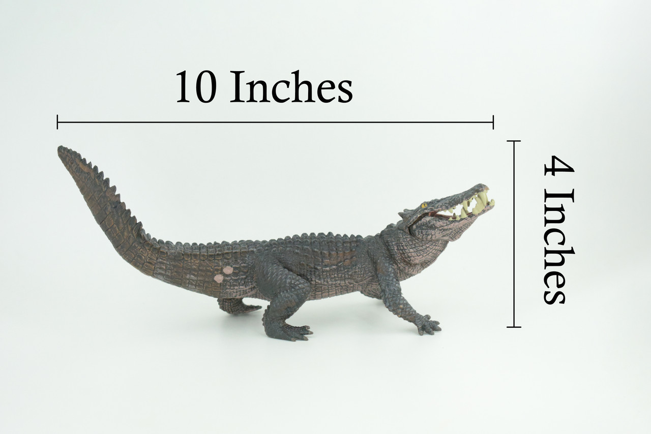 Boar Crocodile, Museum Quality, Educational, Hand Painted, Rubber Reptile, Realistic, Diorama, Toy, Kids, Gift, 10 Inches. CH838 BB195