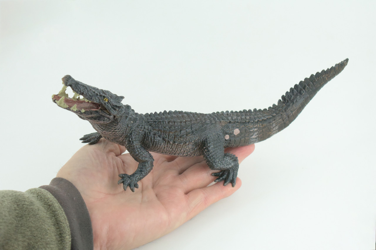 Boar Crocodile, Museum Quality, Educational, Hand Painted, Rubber Reptile, Realistic, Diorama, Toy, Kids, Gift, 10 Inches. CH838 BB195