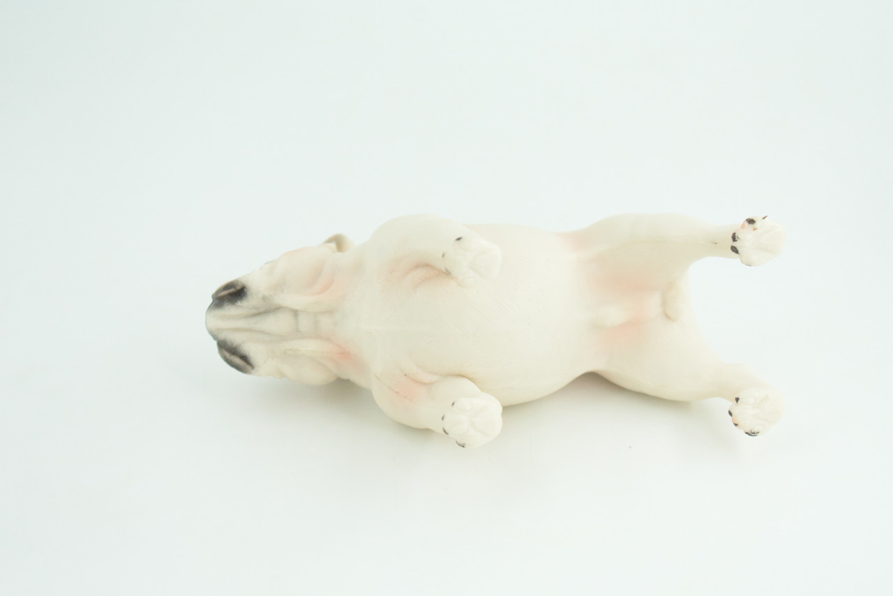 Bulldog, English Bulldog, British, White, Rubber Canine, Hand Painted, Educational, Realistic, K9, Diorama, Figure, Model, Replica, Toys, Kids, Gift, 5 Inches. CH839 BB196