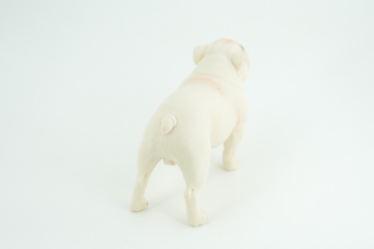 Bulldog, English Bulldog, British, White, Rubber Canine, Hand Painted, Educational, Realistic, K9, Diorama, Figure, Model, Replica, Toys, Kids, Gift, 5 Inches. CH839 BB196