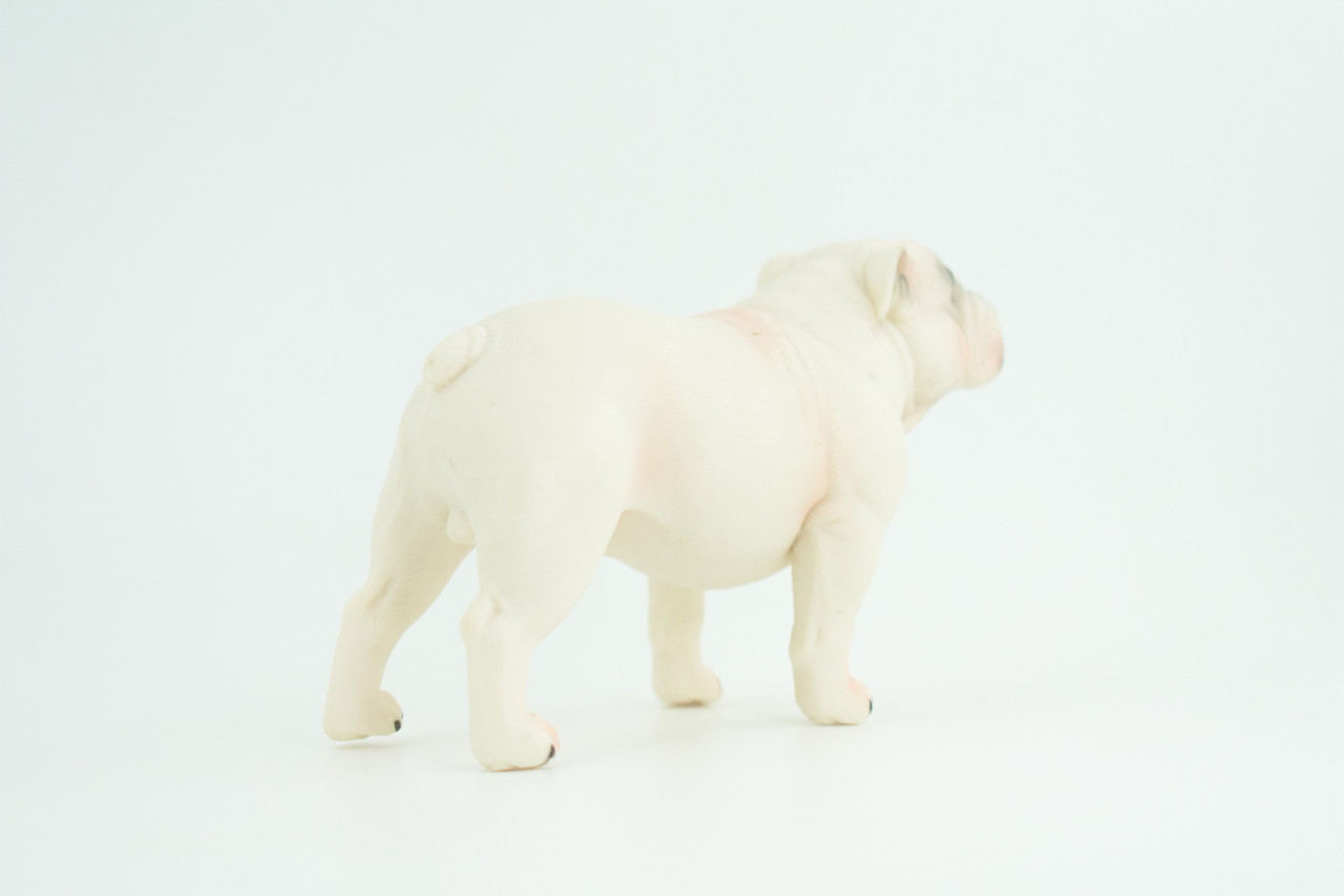 Bulldog, English Bulldog, British, White, Rubber Canine, Hand Painted, Educational, Realistic, K9, Diorama, Figure, Model, Replica, Toys, Kids, Gift, 5 Inches. CH839 BB196