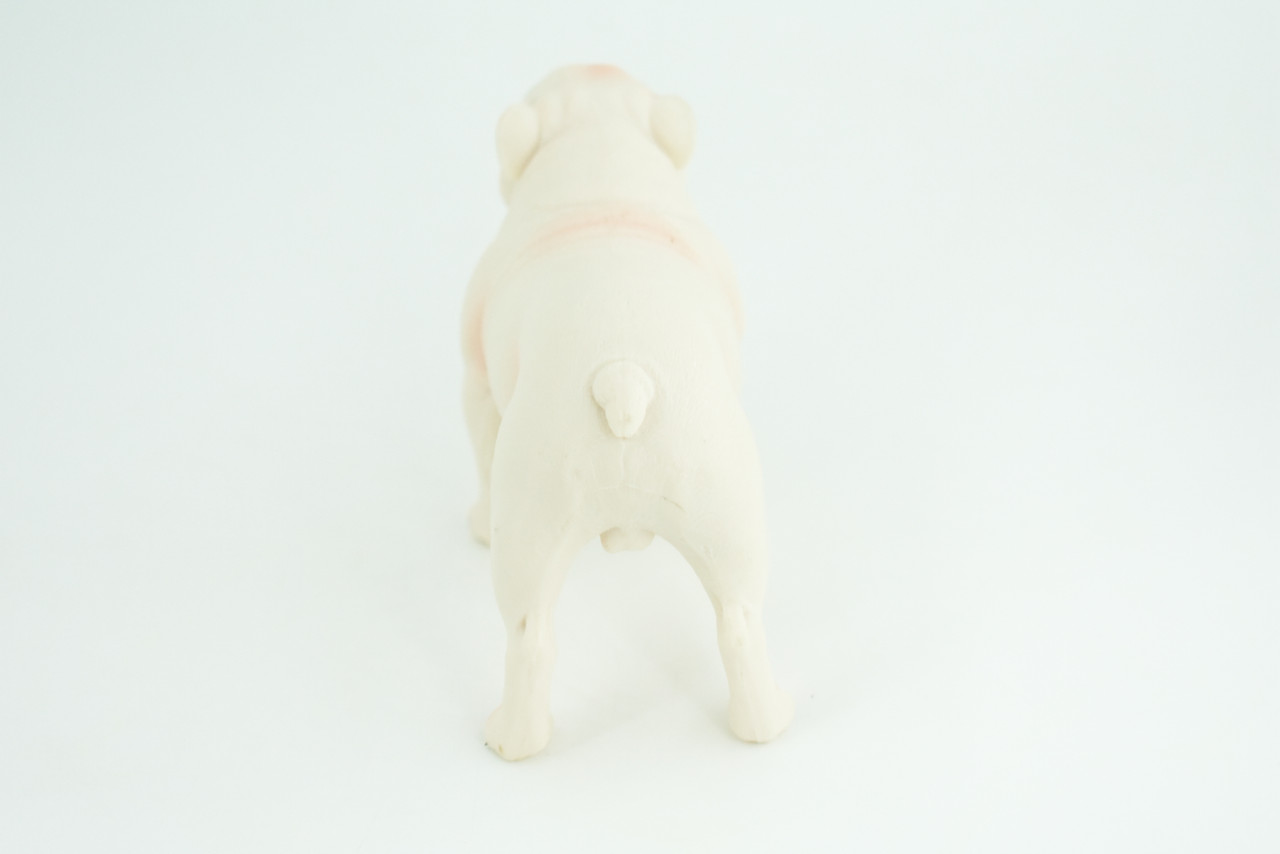 Bulldog, English Bulldog, British, White, Rubber Canine, Hand Painted, Educational, Realistic, K9, Diorama, Figure, Model, Replica, Toys, Kids, Gift, 5 Inches. CH839 BB196