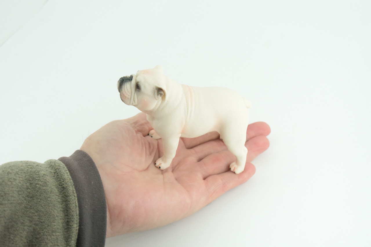 Bulldog, English Bulldog, British, White, Rubber Canine, Hand Painted, Educational, Realistic, K9, Diorama, Figure, Model, Replica, Toys, Kids, Gift, 5 Inches. CH839 BB196
