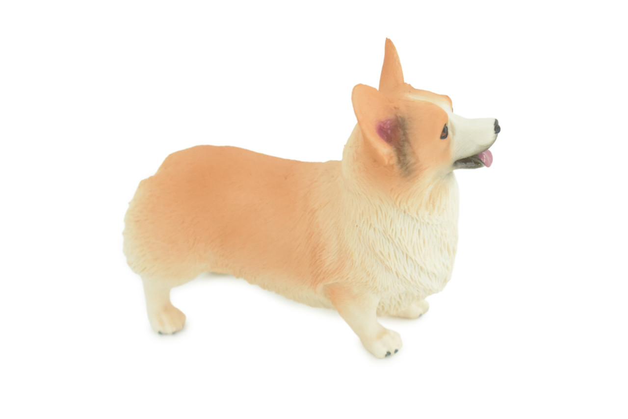 Corgi Dog, Pembroke Welsh Corgi, Museum Quality, Hand Painted, Educational, Rubber Canine, Realistic, K9, Toys, Kids, Gift, 4 1/2 Inches. CH840 BB196