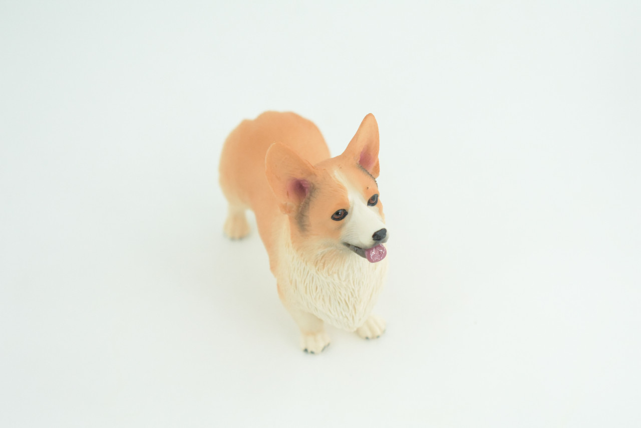 Corgi Dog, Pembroke Welsh Corgi, Museum Quality, Hand Painted, Educational, Rubber Canine, Realistic, K9, Toys, Kids, Gift,   4 1/2 Inches.  CH840 BB196