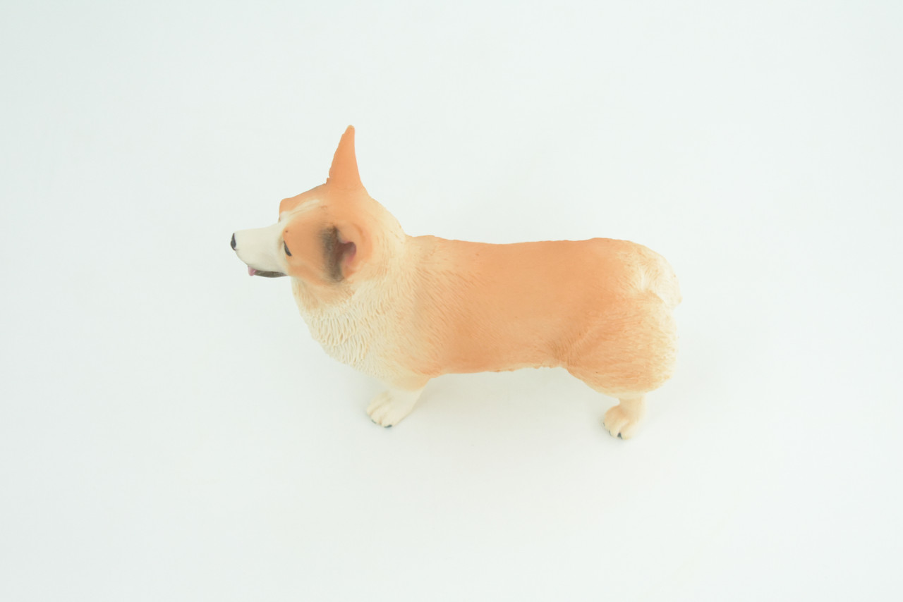 Corgi Dog, Pembroke Welsh Corgi, Museum Quality, Hand Painted, Educational, Rubber Canine, Realistic, K9, Toys, Kids, Gift,   4 1/2 Inches.  CH840 BB196